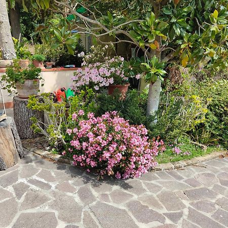 דירות Gabbro Il Diacciarello מראה חיצוני תמונה