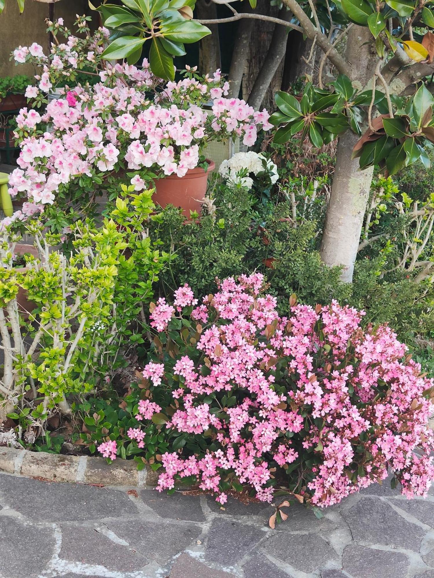 דירות Gabbro Il Diacciarello מראה חיצוני תמונה
